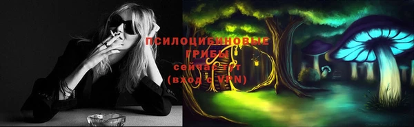 сатива Карталы