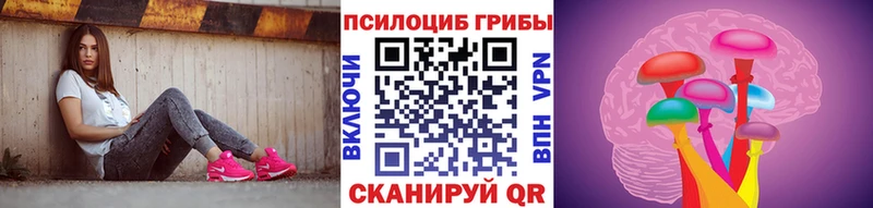Галлюциногенные грибы мицелий  блэк спрут ссылка  Новотитаровская  как найти наркотики 